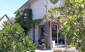Villa Des Hortensias